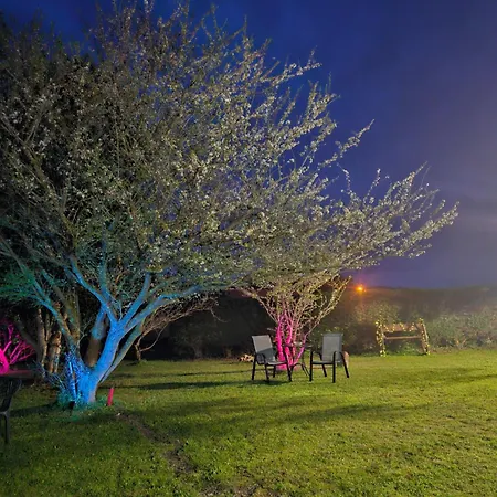 Апартаменты Castello *