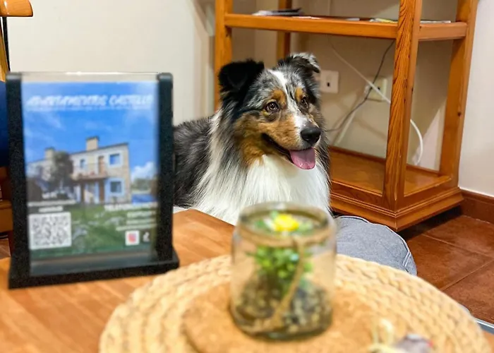 Castello Apartamento