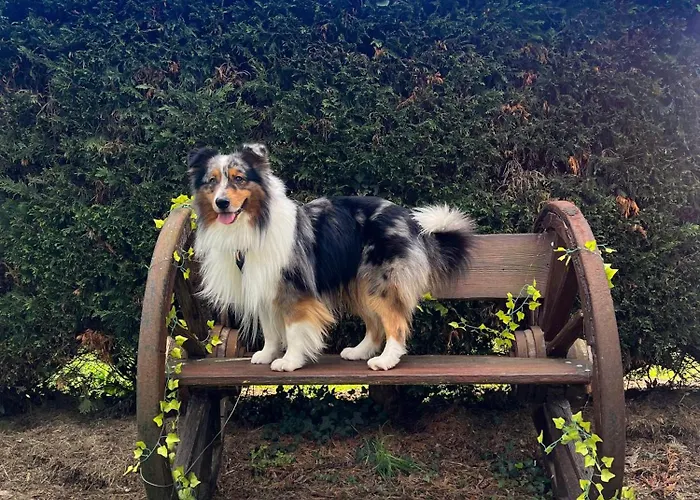 Apartamento Castello